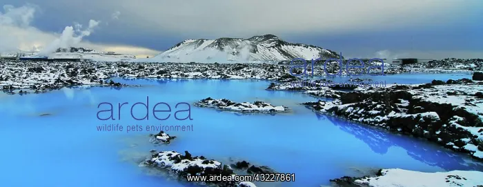 : Iceland, Blue Lagoon. Vibrant blue lake : Iceland, Blue Lagoon. Vibrant blue lake