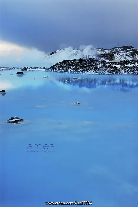 : Iceland, Blue Lagoon. Vibrant blue lake : Iceland, Blue Lagoon. Vibrant blue lake