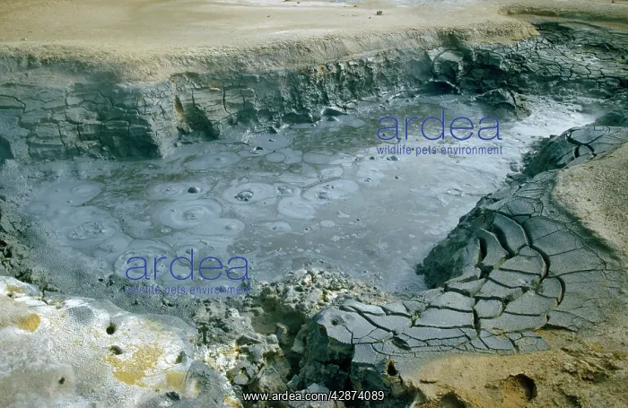 : ICELAND - boiling mud pool in Hverarond at Mount : ICELAND - boiling mud pool in Hverarond at Mount