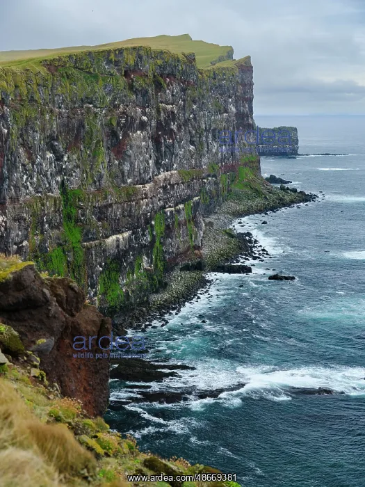  : Iceland, cliffs of Latrabjarg during autumn