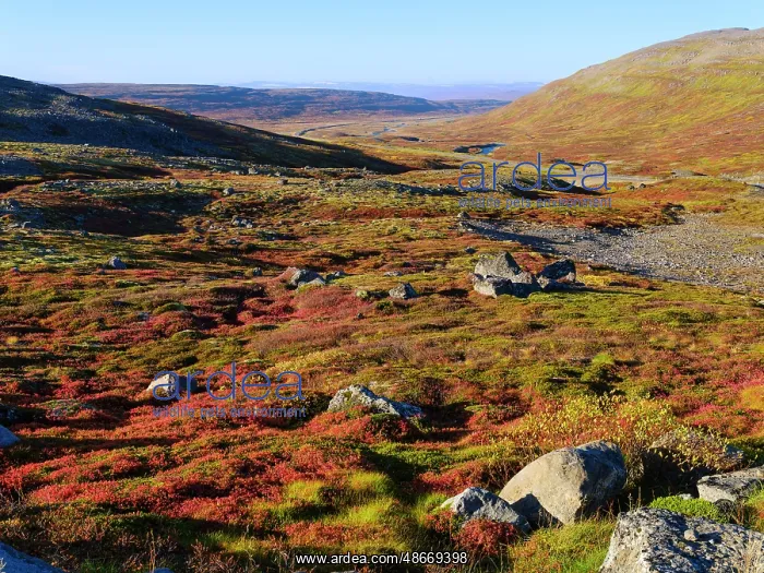 : Iceland, colors of fall in Middalur at : Iceland, colors of fall in Middalur at