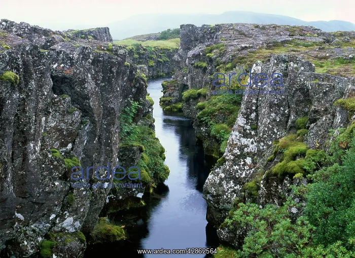 : Iceland - crack in Earth's crust at point where : Iceland - crack in Earth's crust at point where