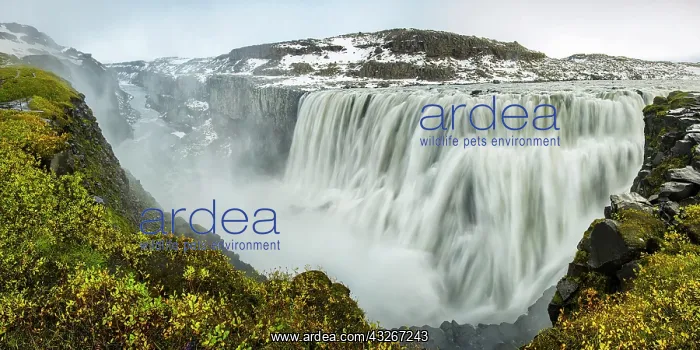 : Iceland, Dettifoss. Scenic of waterfall : Iceland, Dettifoss. Scenic of waterfall