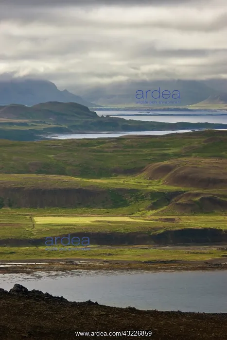 : Iceland. Farmland along Thorskafjordur Fjord : Iceland. Farmland along Thorskafjordur Fjord
