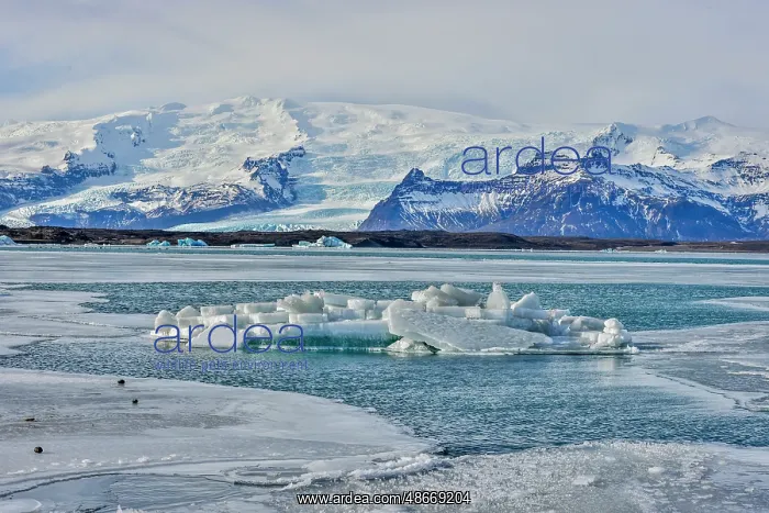  : Iceland, Fjallsarlon Glacier Lagoon