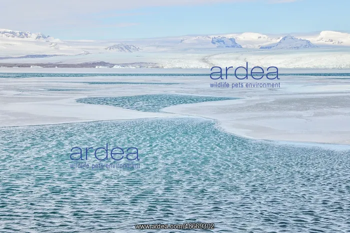 : Iceland, Fjallsarlon Glacier Lagoon : Iceland, Fjallsarlon Glacier Lagoon