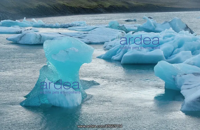 : Iceland. Fjallsarlon Glacier Lake at the south end of the : Iceland. Fjallsarlon Glacier Lake at the south end of the