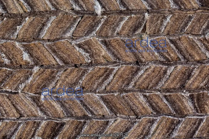 : Iceland, Glumbaer. Detail of sod home construction : Iceland, Glumbaer. Detail of sod home construction