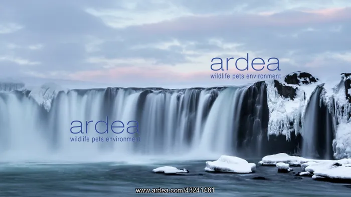 : Iceland, Godafoss. View of waterfall : Iceland, Godafoss. View of waterfall
