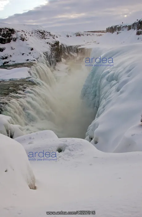 : Iceland, Gullfoss (AKA Golden Falls). Icy : Iceland, Gullfoss (AKA Golden Falls). Icy