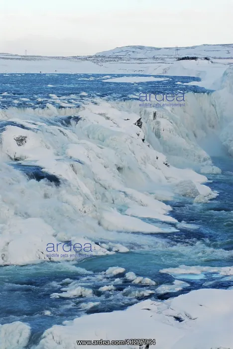 : Iceland, Gullfoss (AKA Golden Falls). Icy : Iceland, Gullfoss (AKA Golden Falls). Icy