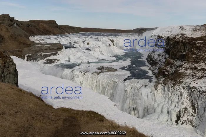 : Iceland, Gullfoss Falls (Golden Falls) : Iceland, Gullfoss Falls (Golden Falls)