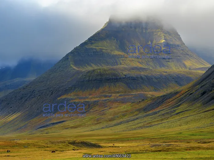 : Iceland. Haukadalur in Dyrafjordur during autumn : Iceland. Haukadalur in Dyrafjordur during autumn