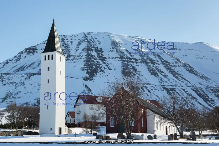 : Iceland, Holar. Overview of town buildings : Iceland, Holar. Overview of town buildings