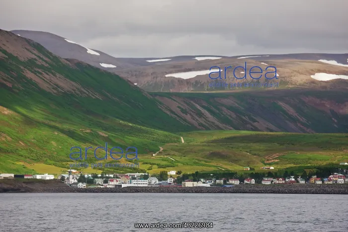 : Iceland, HusavIk. Panoramic view of city : Iceland, HusavIk. Panoramic view of city
