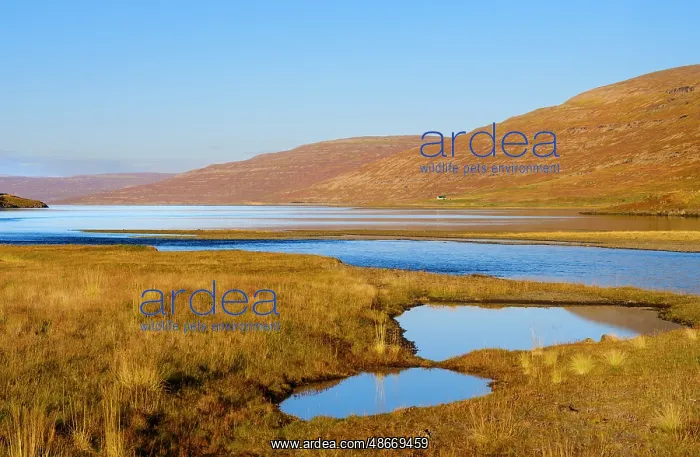  : Iceland. Hvanneyrardalur and coastline Strandabyggd in fjord