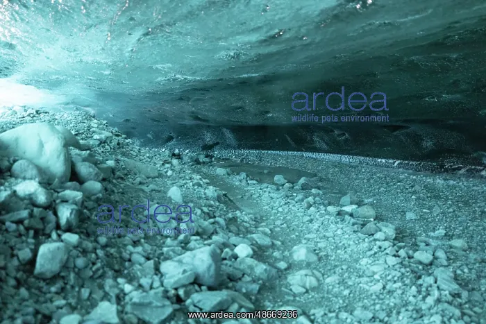 : Iceland. Ice cave near Fjallsarlon : Iceland. Ice cave near Fjallsarlon