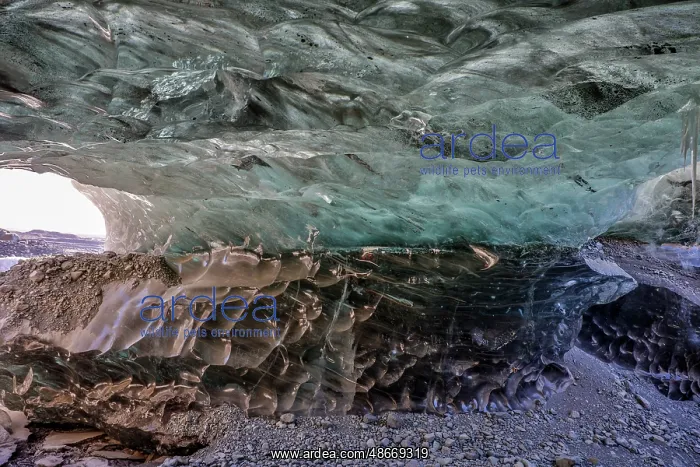 : Iceland. Ice cave near Fjallsarlon : Iceland. Ice cave near Fjallsarlon