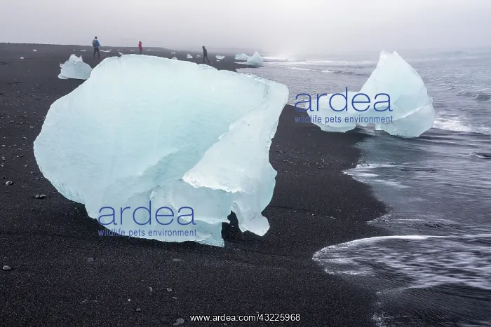 : Iceland, iceberg on beach : Iceland, iceberg on beach