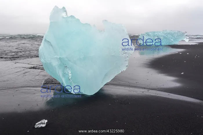 : Iceland, iceberg on beach : Iceland, iceberg on beach