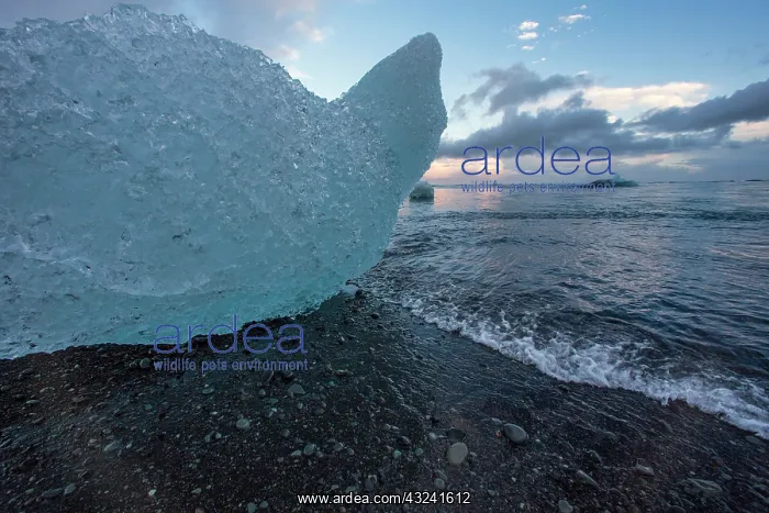 : Iceland, icescapes : Iceland, icescapes
