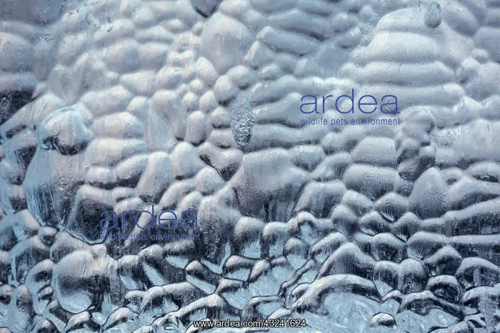 : Iceland, icescapes : Iceland, icescapes
