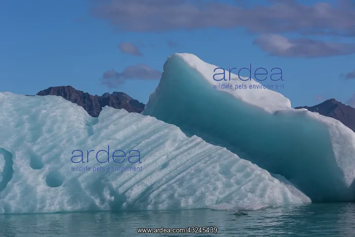 : Iceland, icescapes : Iceland, icescapes
