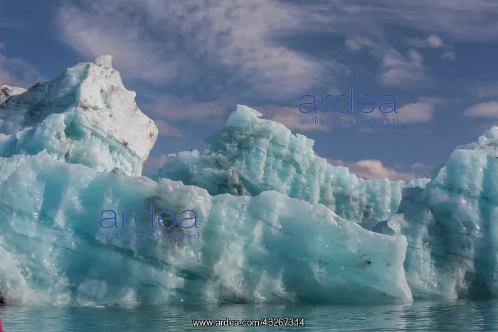  : Iceland, icescapes