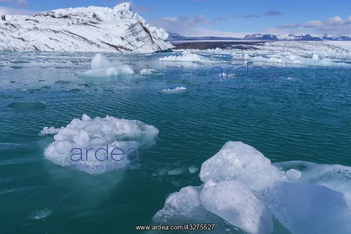 : Iceland, icescapes : Iceland, icescapes