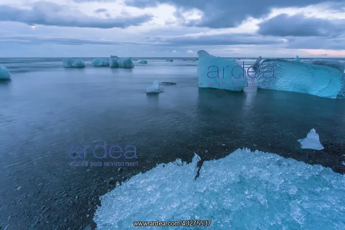 : Iceland, icescapes : Iceland, icescapes