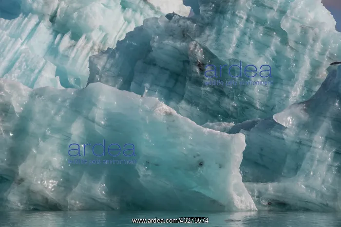 : Iceland, icescapes : Iceland, icescapes