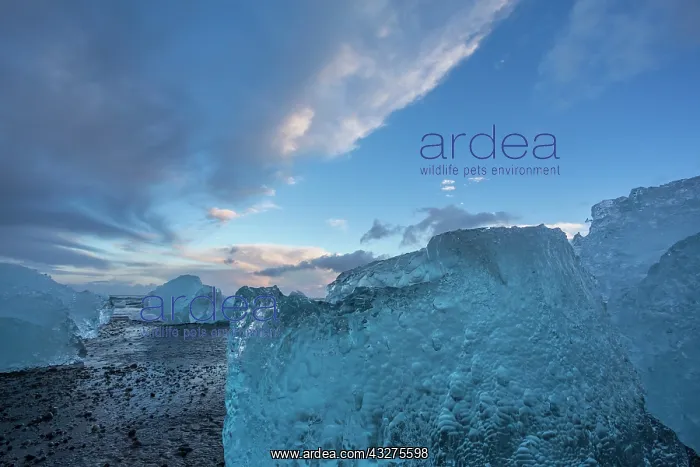 : Iceland, icescapes : Iceland, icescapes