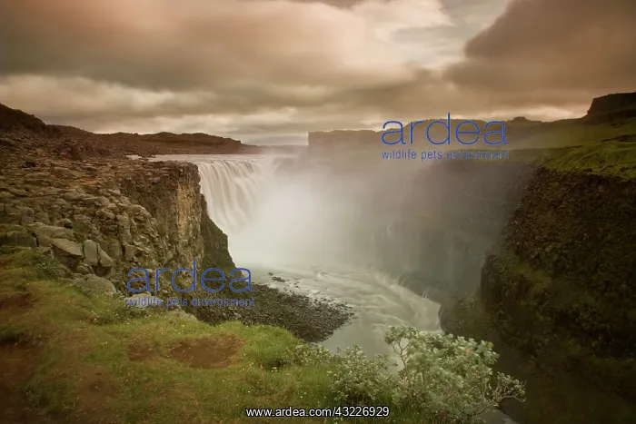 : Iceland, Jokulsargljufur National Park : Iceland, Jokulsargljufur National Park