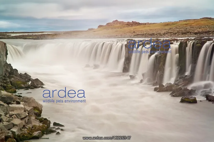 : Iceland, Jokulsargljufur National Park : Iceland, Jokulsargljufur National Park