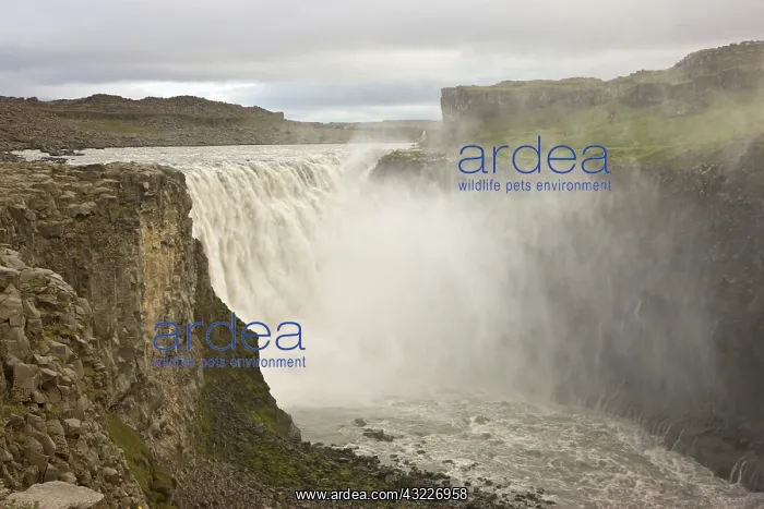 : Iceland, Jokulsargljufur National Park : Iceland, Jokulsargljufur National Park