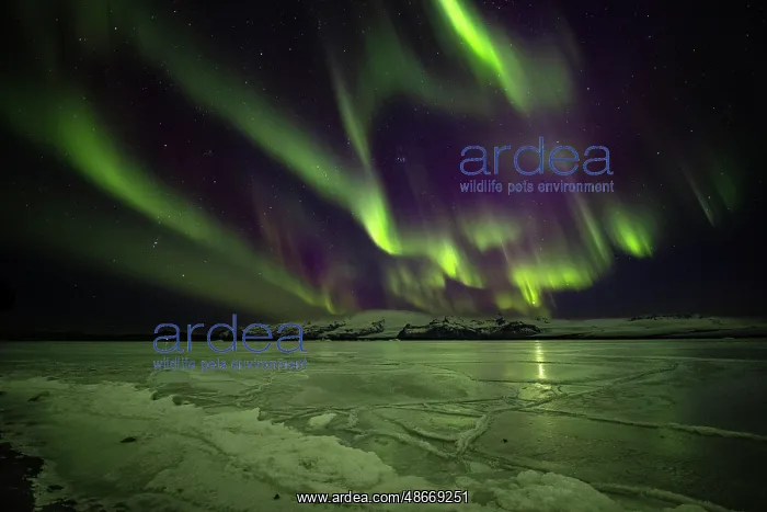 : Iceland, Jokulsarlon Glacier Lagoon, Aurora Borealis : Iceland, Jokulsarlon Glacier Lagoon, Aurora Borealis