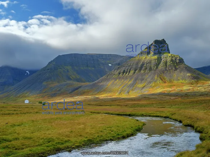 : Iceland. Keldudalur and Gjalpardalur in Dyrafjordur during : Iceland. Keldudalur and Gjalpardalur in Dyrafjordur during