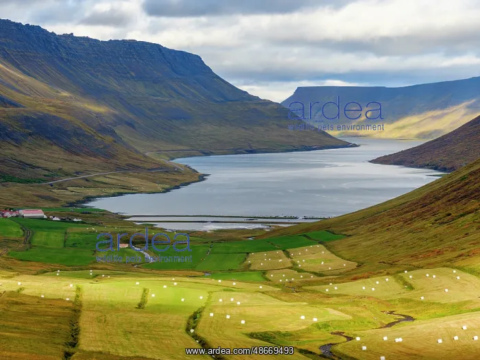 : Iceland. Landscape in Botnsdalur and Sugandafjordur during : Iceland. Landscape in Botnsdalur and Sugandafjordur during
