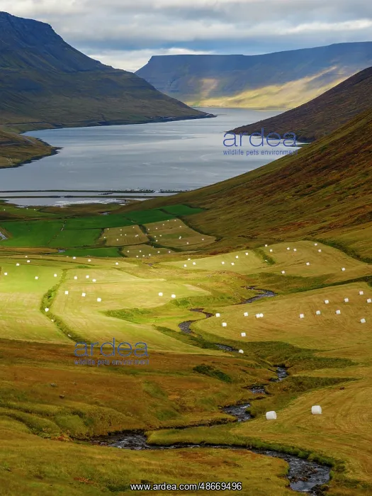 : Iceland. Landscape in Botnsdalur and Sugandafjordur during : Iceland. Landscape in Botnsdalur and Sugandafjordur during