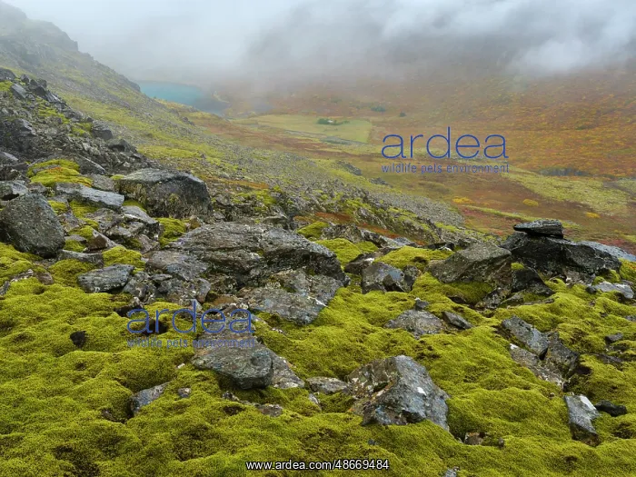 : Iceland. Landscape at Dynjandiheidi during autumn : Iceland. Landscape at Dynjandiheidi during autumn