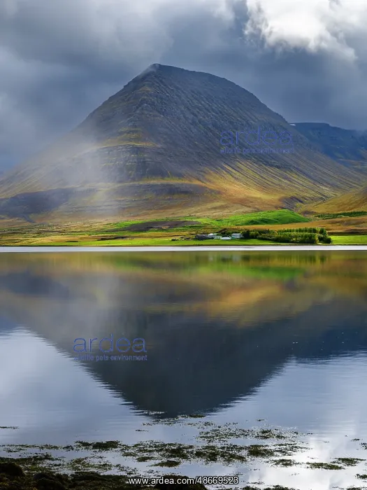 : Iceland. Landscape in Dyrafjordur during autumn : Iceland. Landscape in Dyrafjordur during autumn
