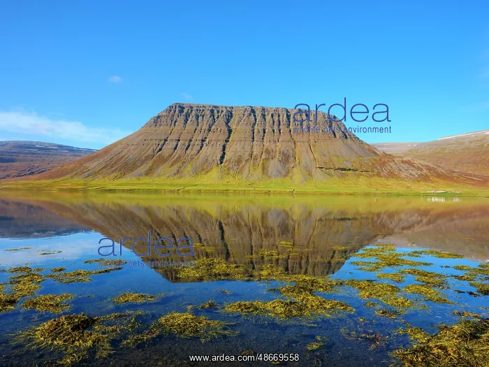 : Iceland. Landscape in fjord Alftafjordur during autumn : Iceland. Landscape in fjord Alftafjordur during autumn