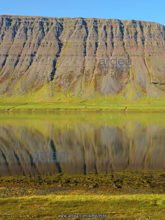 : Iceland. Landscape in fjord Alftafjordur during autumn : Iceland. Landscape in fjord Alftafjordur during autumn