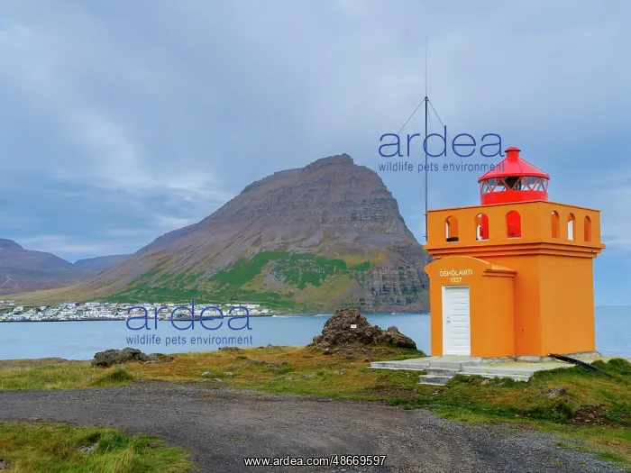 : Iceland. Lighthouse Osholar, Bolungarvik at fjord : Iceland. Lighthouse Osholar, Bolungarvik at fjord