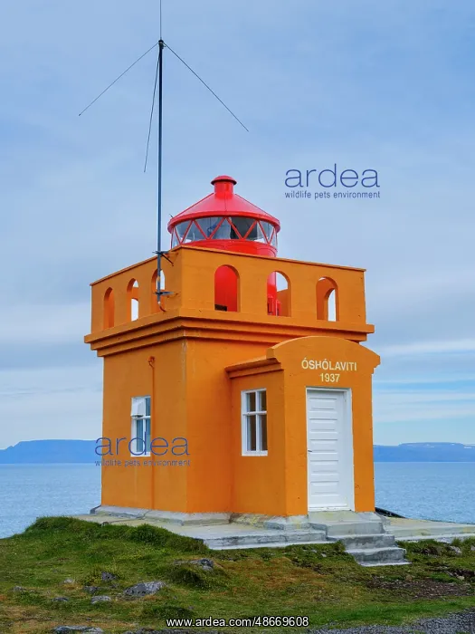 : Iceland. Lighthouse Osholar, Bolungarvik at fjord : Iceland. Lighthouse Osholar, Bolungarvik at fjord