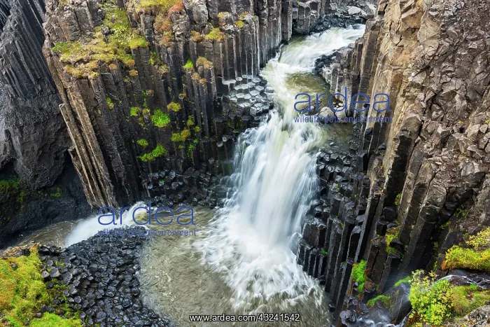 : Iceland, Litlanesfoss. Waterfall and basalt : Iceland, Litlanesfoss. Waterfall and basalt