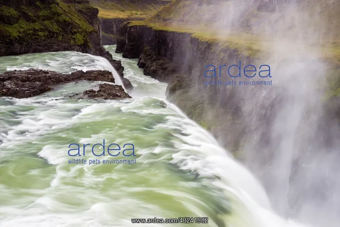 : Iceland, Misty Gulfoss. Waterfall flowing : Iceland, Misty Gulfoss. Waterfall flowing