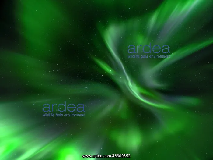 : Iceland. Northern Lights over Isafjordur, the capital of the : Iceland. Northern Lights over Isafjordur, the capital of the