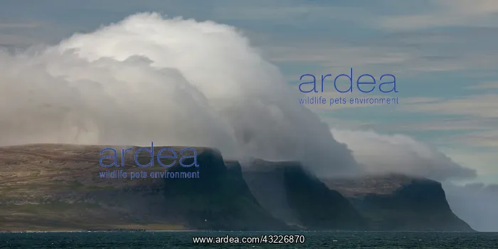 : Iceland, Patreksfjordur. A spectacular cloud : Iceland, Patreksfjordur. A spectacular cloud