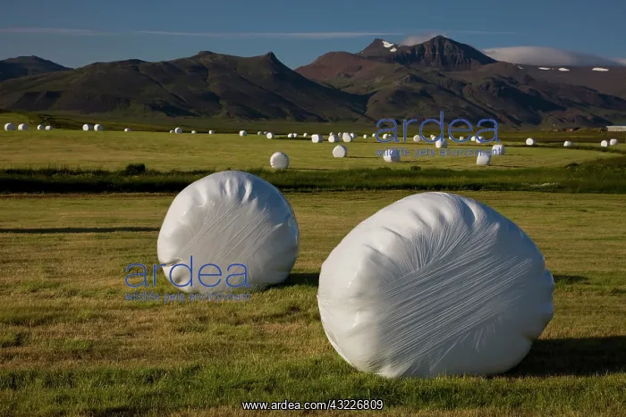 : Iceland. Plastic-wrapped hay bales can be : Iceland. Plastic-wrapped hay bales can be